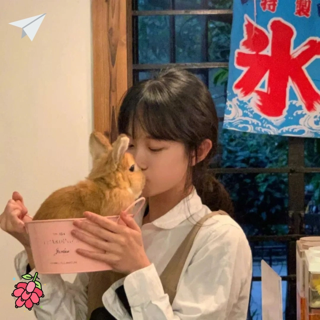 青训课程评价用户